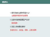 11.1+人体产生的代谢废物同步课件2023--2024学年北师大版生物七年级下册