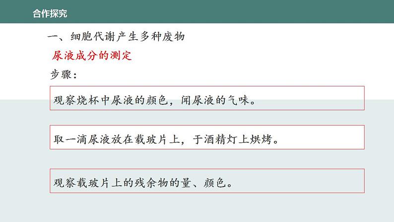 11.1人体产生的代谢废物同步课件2023--2024学年北师大版生物七年级下册第6页