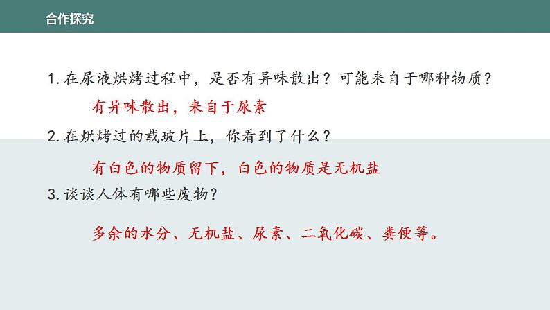 11.1人体产生的代谢废物同步课件2023--2024学年北师大版生物七年级下册第7页