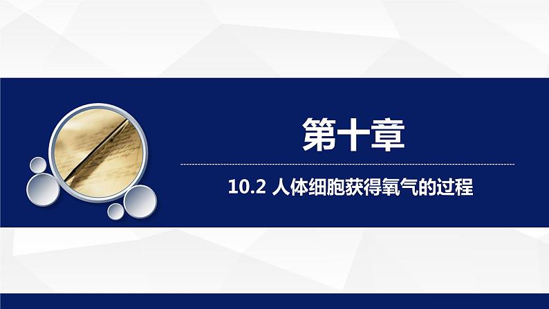 10.2+人体细胞获得氧气的过程教学课件2023--2024学年北师大版生物七年级下册第1页