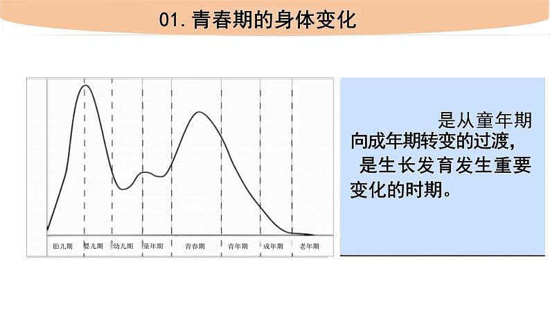 4.1.3+青春期+课件2023-2024年人教版初中生物七年级下册第4页