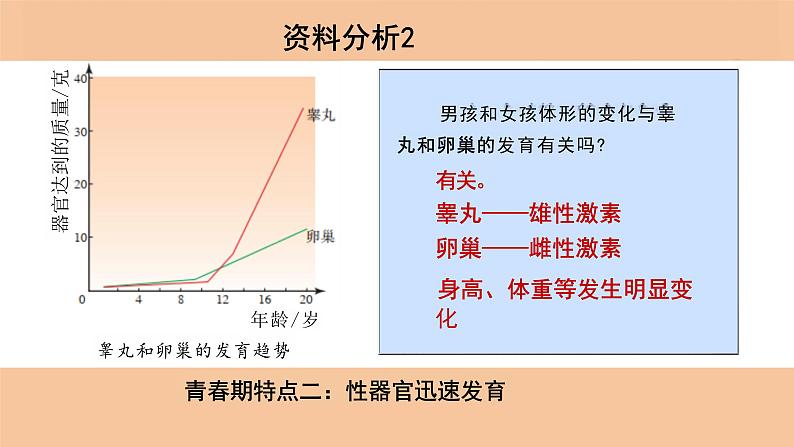 4.1.3+青春期+课件2023-2024年人教版初中生物七年级下册第6页