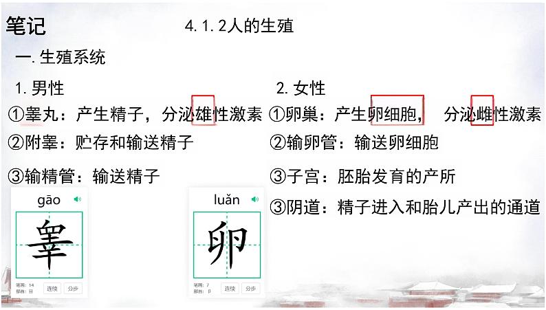 4.1.2+人的生殖课件2023-2024年人教版初中生物下册第8页