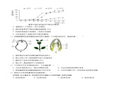 模块三 生物圈中的绿色植物（测试）-2024年中考生物一轮复习课件+练习+测试（全国通用）