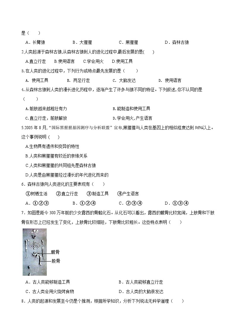 专题09 人的由来（练习）-2024年中考生物一轮复习课件+练习+测试（全国通用）02