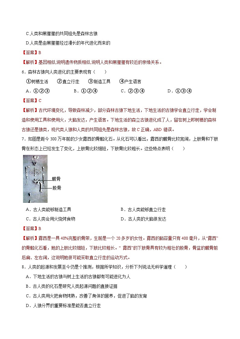 专题09 人的由来（练习）-2024年中考生物一轮复习课件+练习+测试（全国通用）03