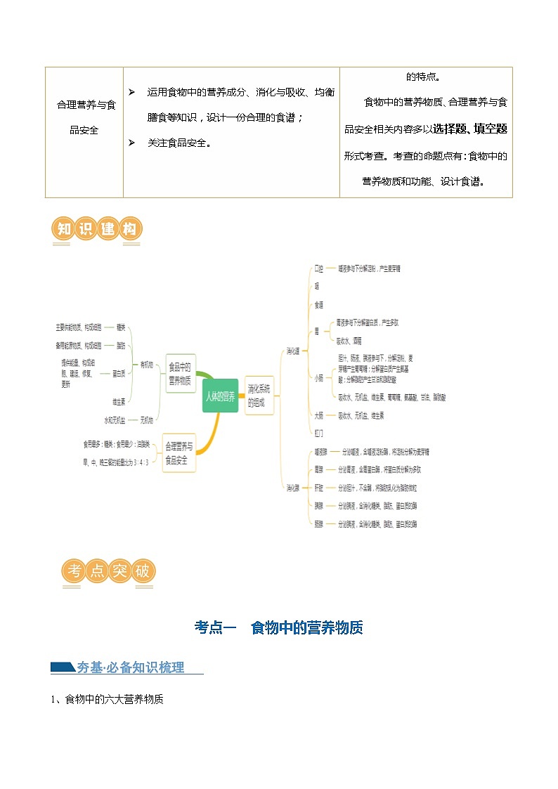 专题10+人体的营养（讲义）-2024年中考生物一轮复习课件+练习+测试（全国通用）++03
