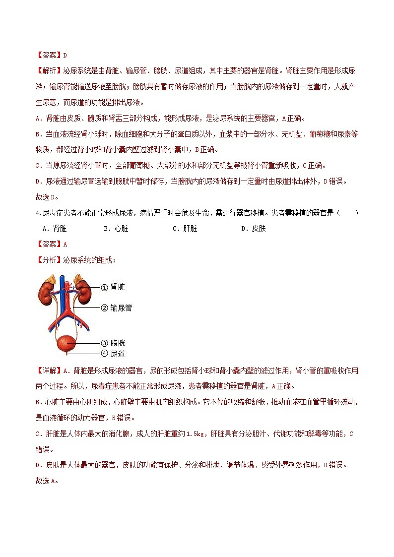 专题13 人体内废物的排出（练习）（解析版） 第3页