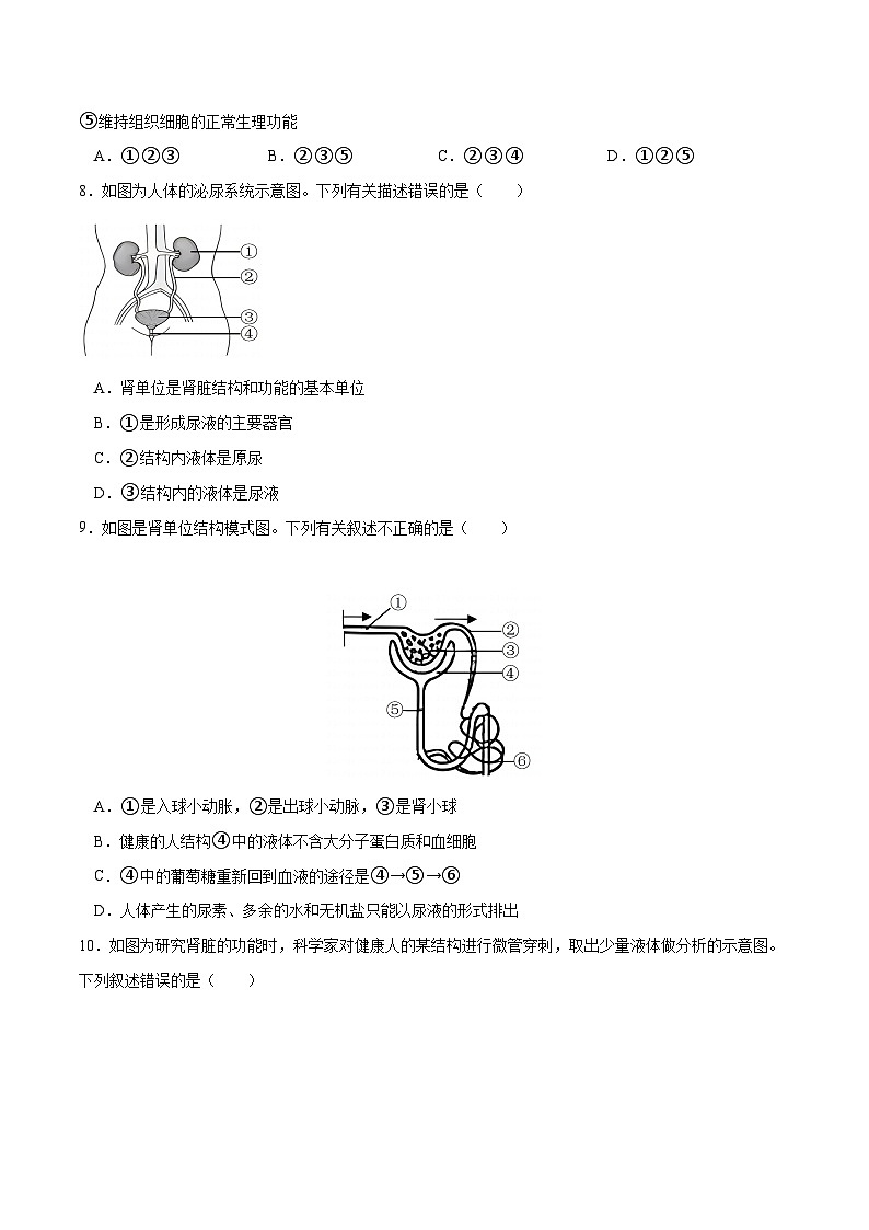 专题13 人体内废物的排出（练习）（原卷版）第3页