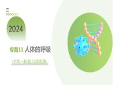 专题11+人体的呼吸（课件）+-2024年中考生物一轮复习课件+练习+测试（全国通用）
