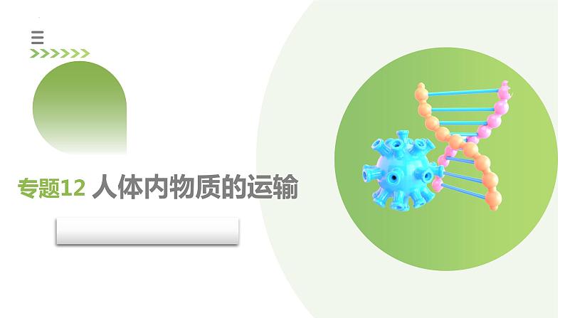 专题12+人体内物质的运输（课件）+-2024年中考生物一轮复习课件+练习+测试（全国通用）03