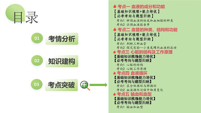 专题12+人体内物质的运输（课件）+-2024年中考生物一轮复习课件+练习+测试（全国通用）04