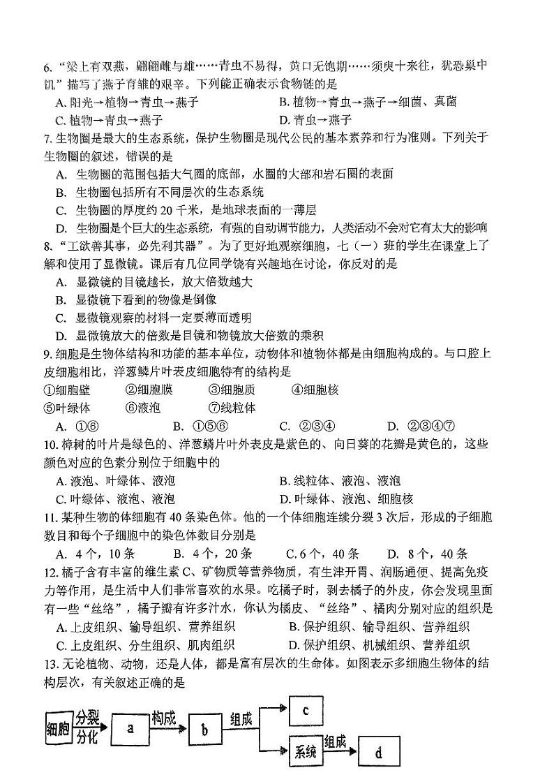 湖南省邵阳市新宁县乡镇学校联考2023-2024学年七年级上学期期末考试生物试题第2页