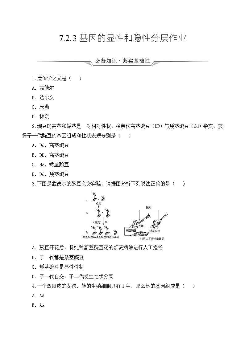 人教版八年级下册生物同步练习 7.2.3 基因的显性和隐性（分层作业）（原卷版+解析）01