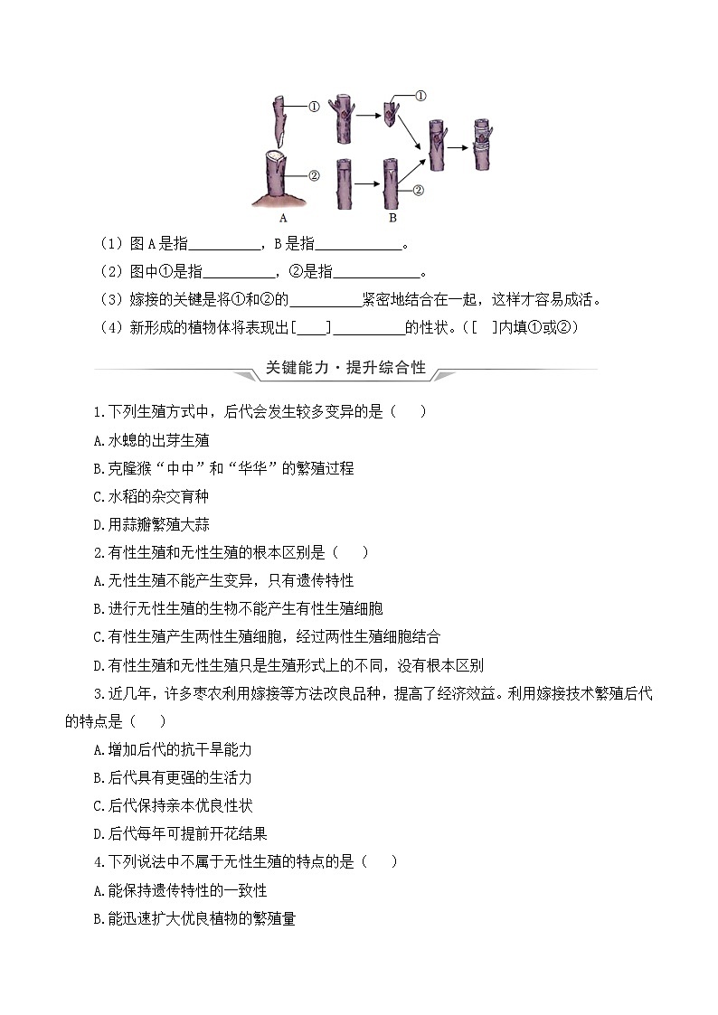 人教版八年级下册生物同步练习 7.1.1 植物的生殖（分层作业）（原卷版+解析）03