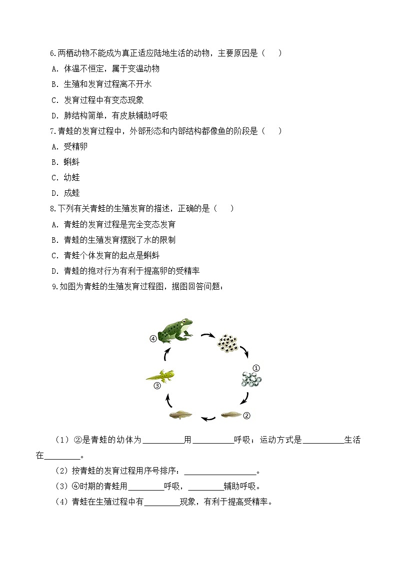 人教版八年级下册生物同步练习 7.1.3 两栖动物的生殖和发育（分层作业）（原卷版+解析）02