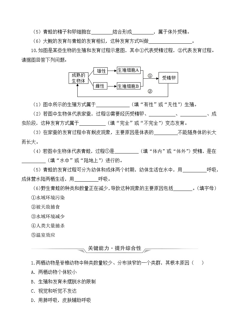 人教版八年级下册生物同步练习 7.1.3 两栖动物的生殖和发育（分层作业）（原卷版+解析）03