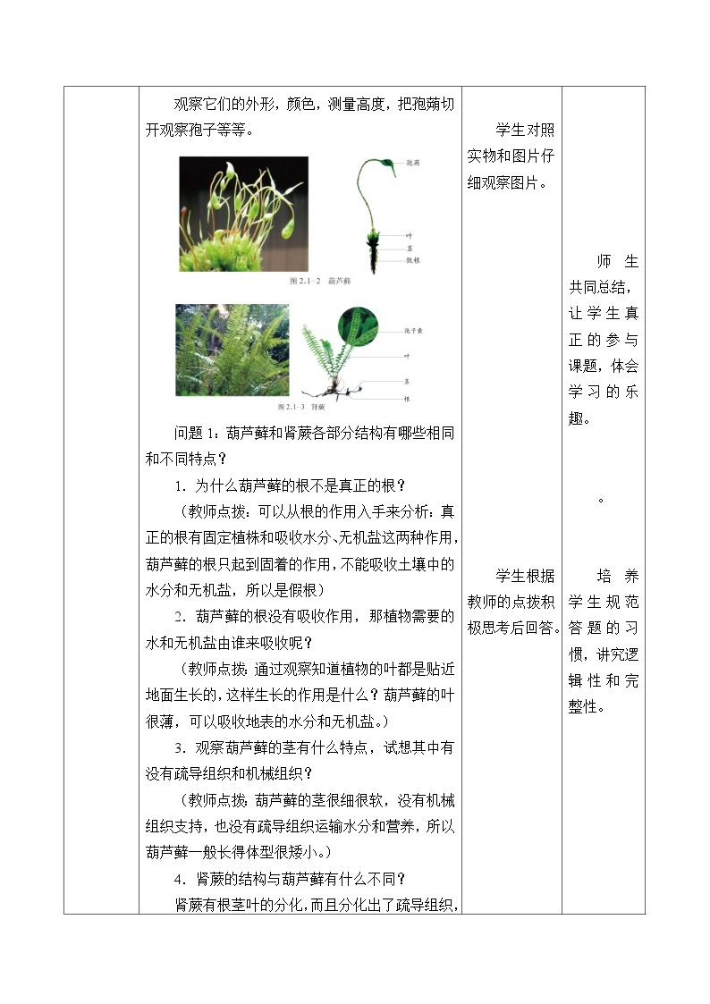 济南版生物七年级上册 第二单元第一章第一节绿色植物的主要类群_教案03