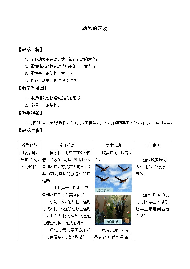 济南版生物七年级上册 第二单元第二章第三节动物的运动_教案01