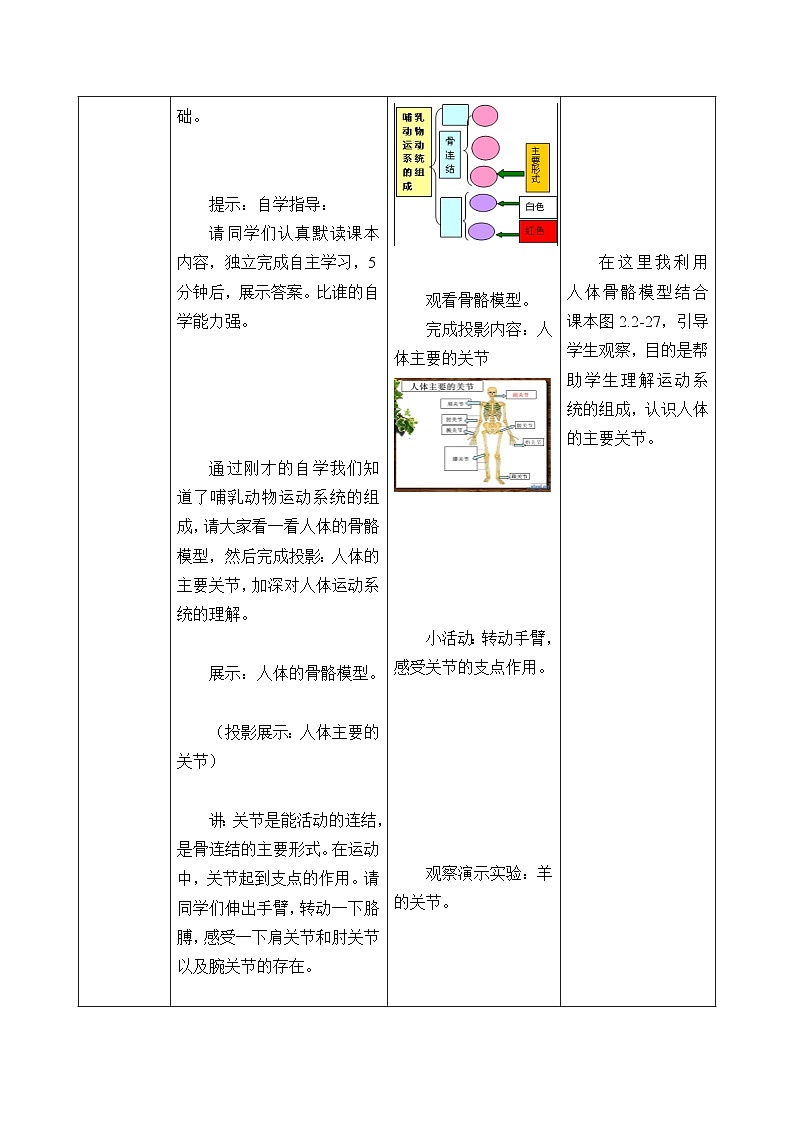 济南版生物七年级上册 第二单元第二章第三节动物的运动_教案03