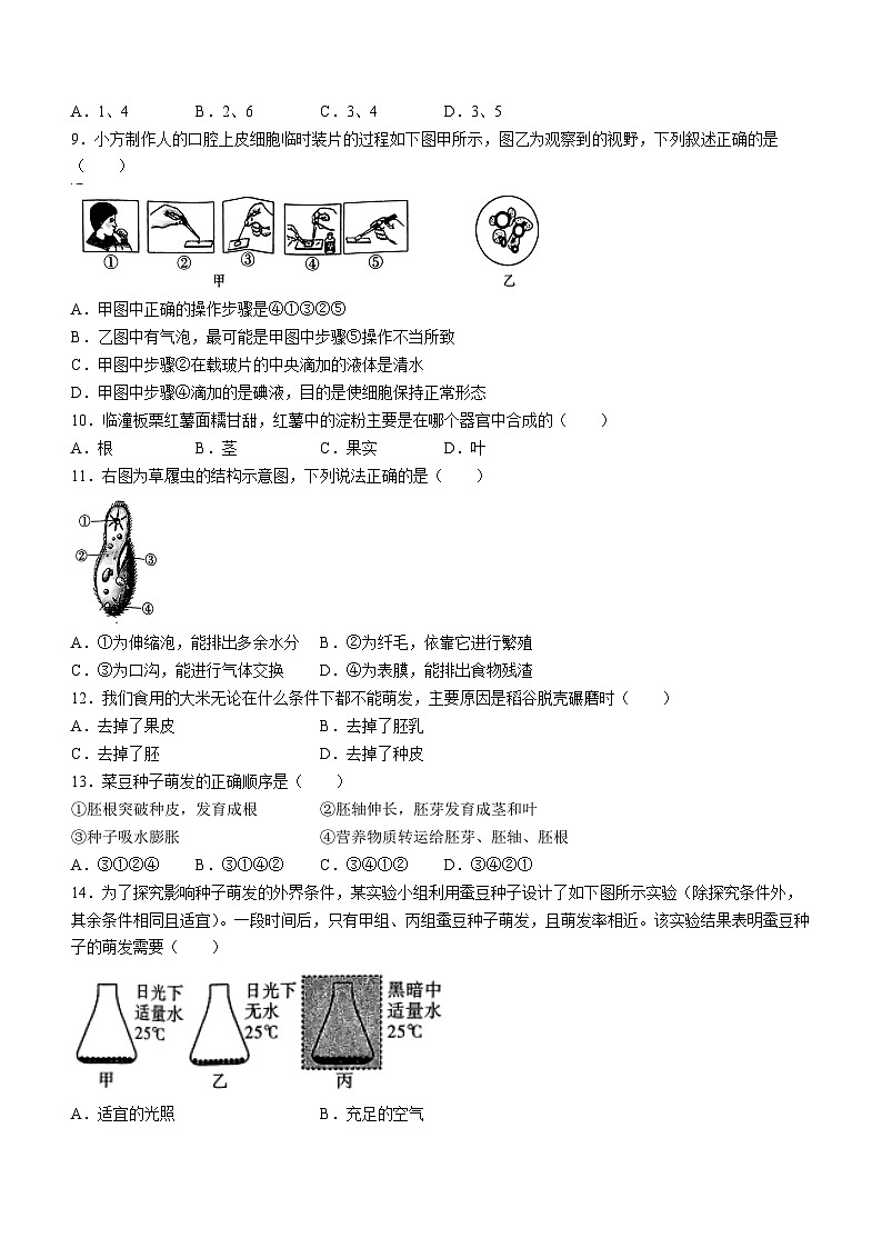 陕西省榆林市子洲县周家硷中学2023-2024学年七年级下学期开学考试生物试题02