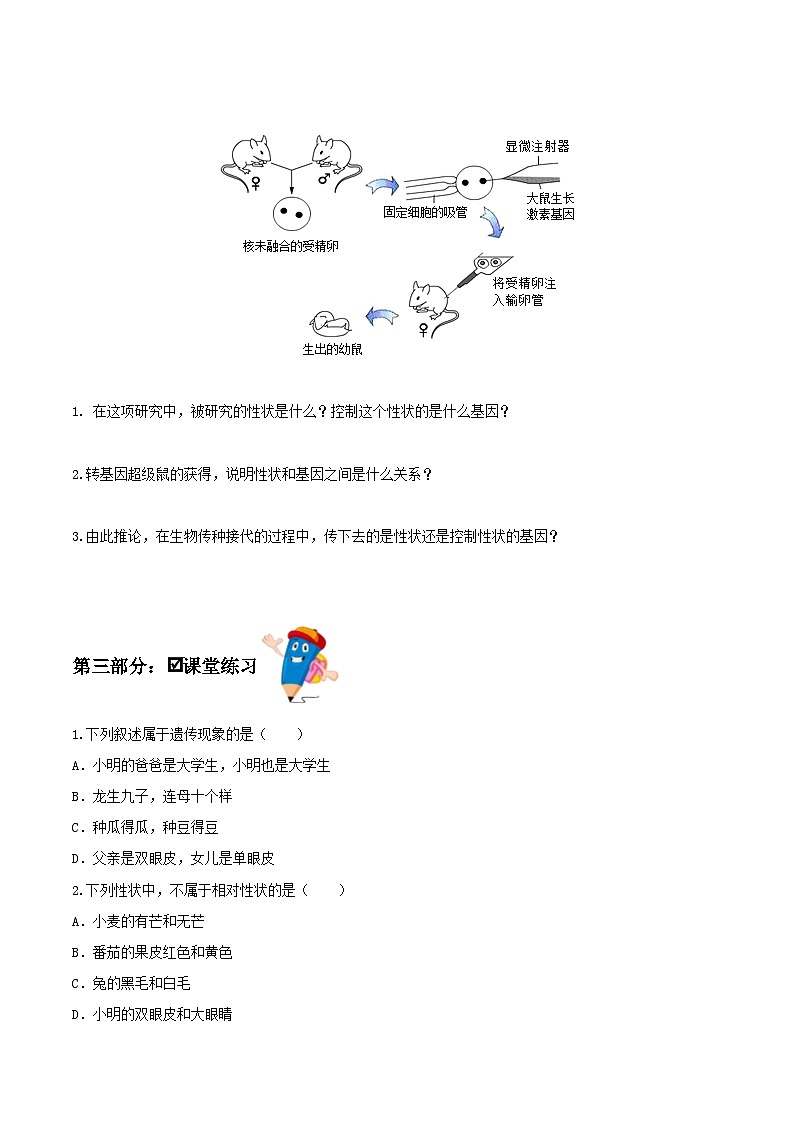 人教版八年级下册生物同步练习 7.2.1 基因控制生物的性状（导学案）（原卷版+解析）02