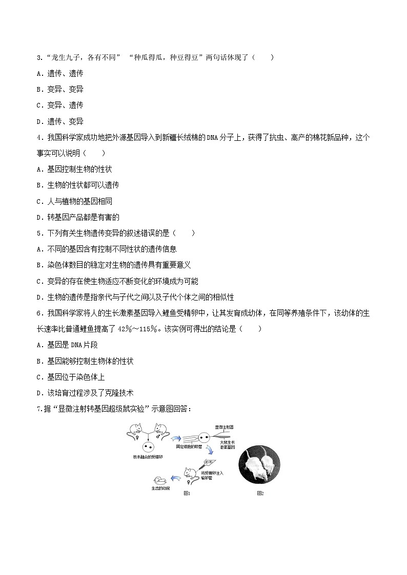 人教版八年级下册生物同步练习 7.2.1 基因控制生物的性状（导学案）（原卷版+解析）03