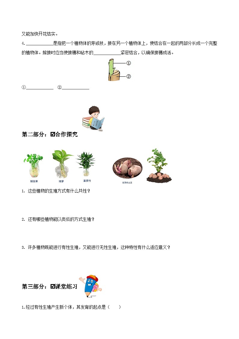 人教版八年级下册生物同步练习 7.1.1 植物的生殖（导学案）（原卷版+解析）02