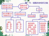 济南版生物七年级上册 第一单元第二章 观察生物结构复习课件