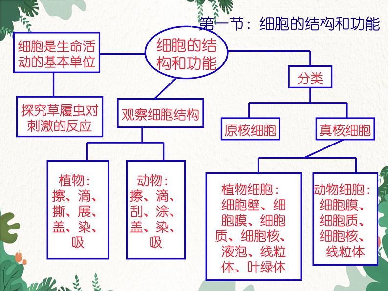 济南版生物七年级上册 第一单元第二章 观察生物结构复习课件03