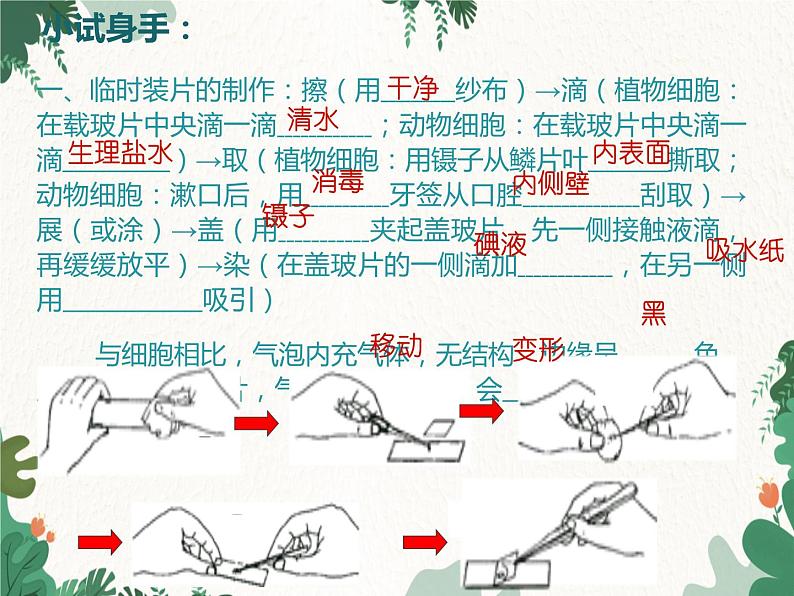 济南版生物七年级上册 第一单元第二章 观察生物结构复习课件04