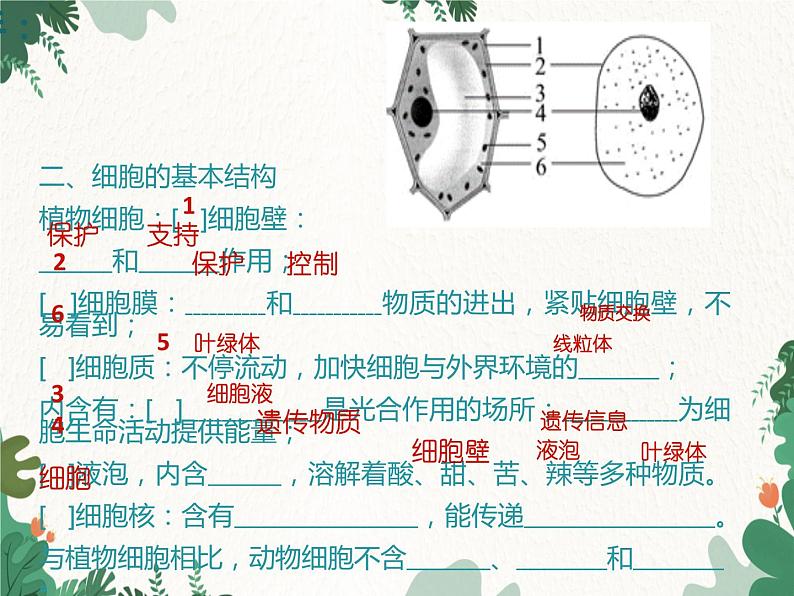 济南版生物七年级上册 第一单元第二章 观察生物结构复习课件05