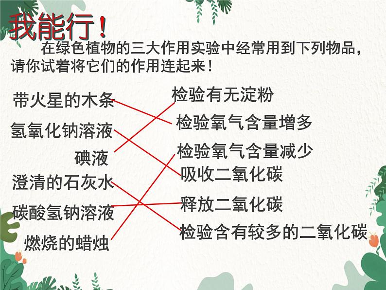 济南版生物七年级上册 第二单元第一章 生物圈中的绿色植物复习课件第8页