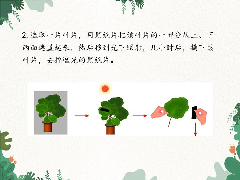 济南版生物七年级上册 第二单元第一章第三节绿色植物的光合作用课件06