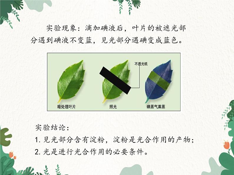 济南版生物七年级上册 第二单元第一章第三节绿色植物的光合作用课件08