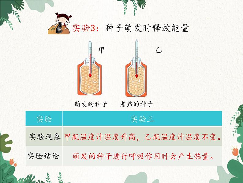 济南版生物七年级上册 第二单元第一章第四节绿色植物的呼吸作用课件08