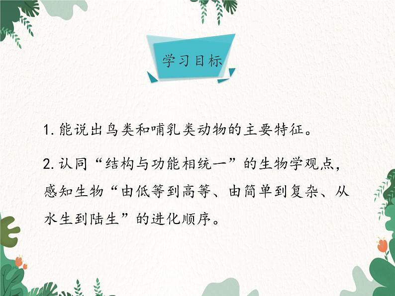 济南版生物七年级上册 第二单元第二章第二课时第二节脊椎动物的主要类群课件第3页