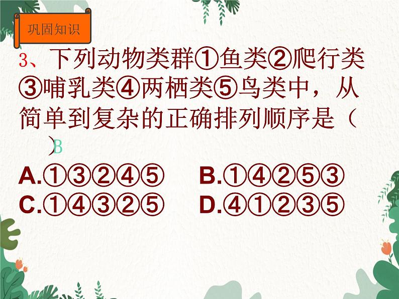 济南版生物七年级上册 第二单元第四章 生物的分类复习课件第7页