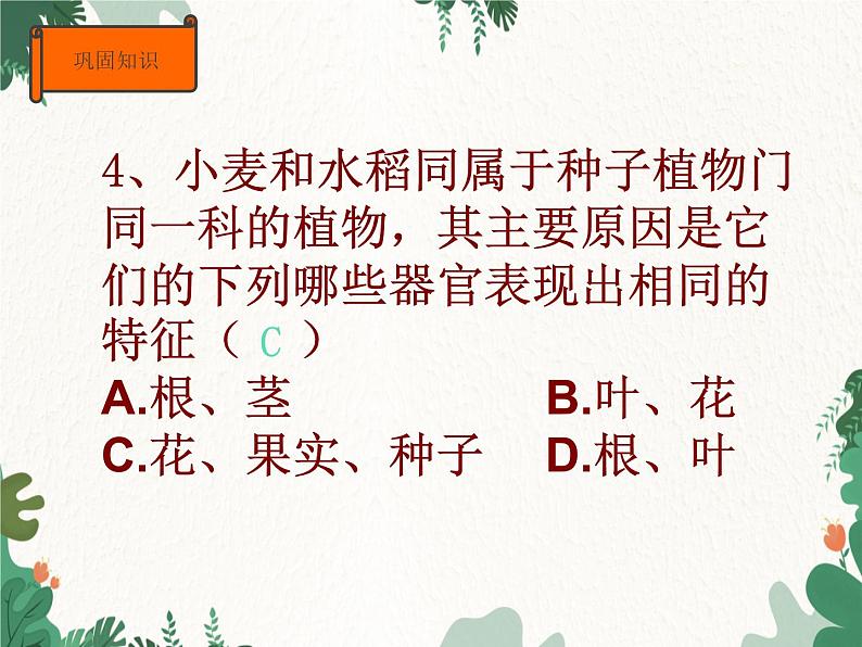 济南版生物七年级上册 第二单元第四章 生物的分类复习课件第8页