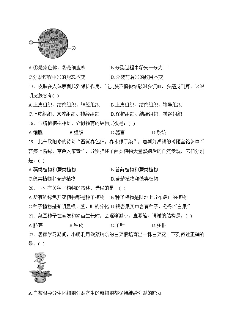 广西贺州市富川县2023-2024学年七年级上学期期末质量监控检测生物试卷(含答案)第3页