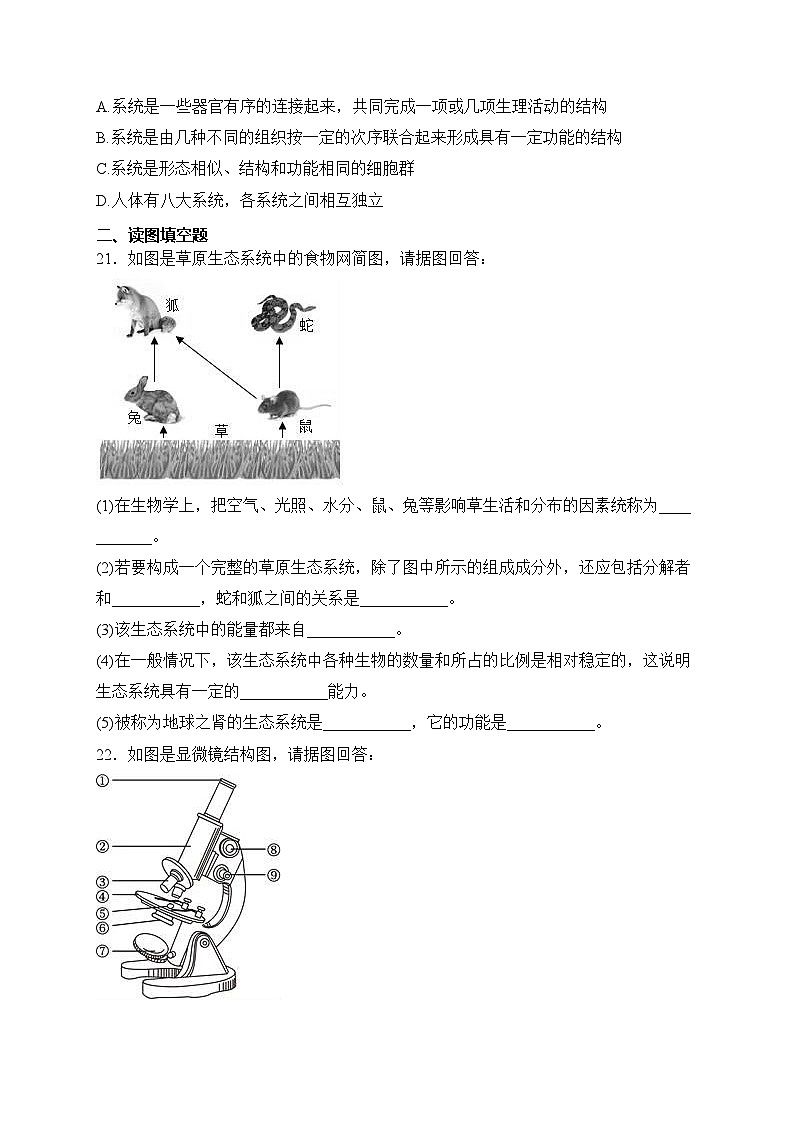 河南省开封市兰考县2023-2024学年七年级上学期期中学业评价生物试卷(含答案)第3页