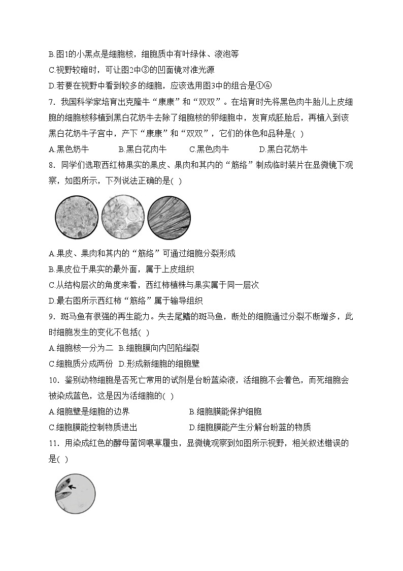 内蒙古包头市昆都仑区2023-2024学年七年级上学期期末调研检测生物试卷(含答案)第2页