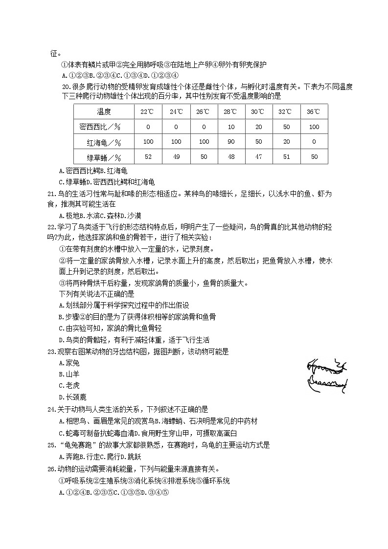 2022-2023学年陕西省咸阳市礼泉县八年级上学期期中生物试题及答案第3页