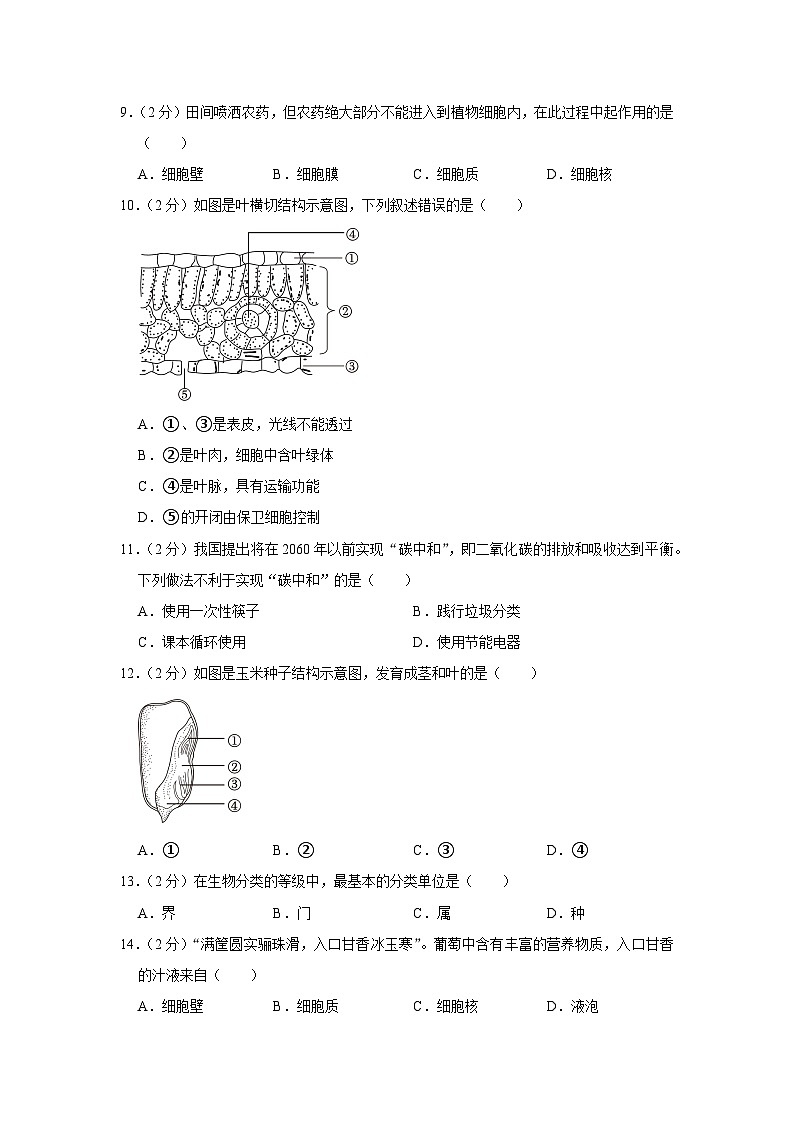 2023-2024学年福建省泉州市晋江市七年级（上）期末生物试卷02