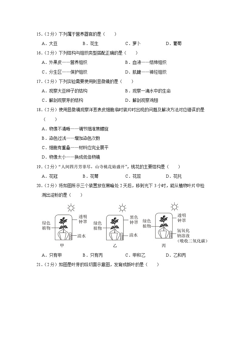 2023-2024学年福建省泉州市晋江市七年级（上）期末生物试卷03