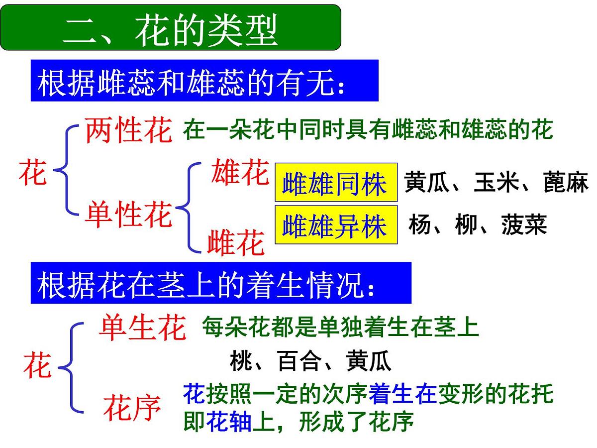 2024年中考生物专题复习课件：绿色开花植物的一生第4页