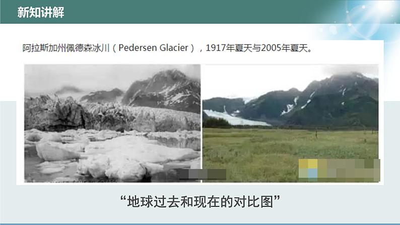 14.1++人类活动对生物圈的影响++课件-2023-2024学年北师大版生物七年级下册第6页