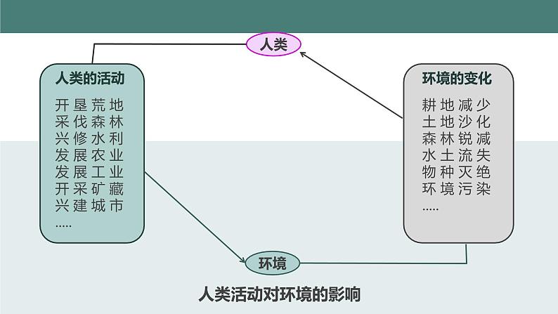 14.1++人类活动对生物圈的影响++课件-2023-2024学年北师大版生物七年级下册第7页