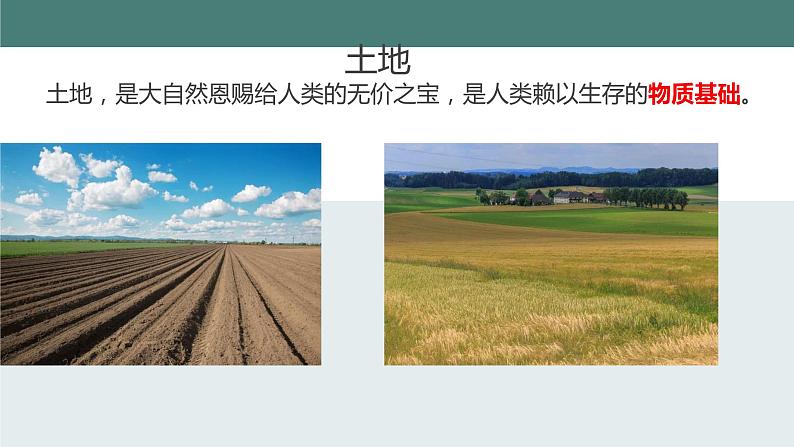 14.1++人类活动对生物圈的影响++课件-2023-2024学年北师大版生物七年级下册第8页