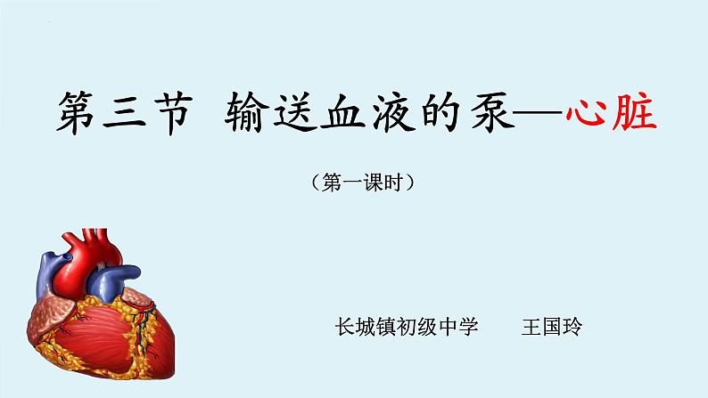 4.4.3++输送血液的泵--心脏（1）课件-2023--2024学年人教版生物七年级下册第3页